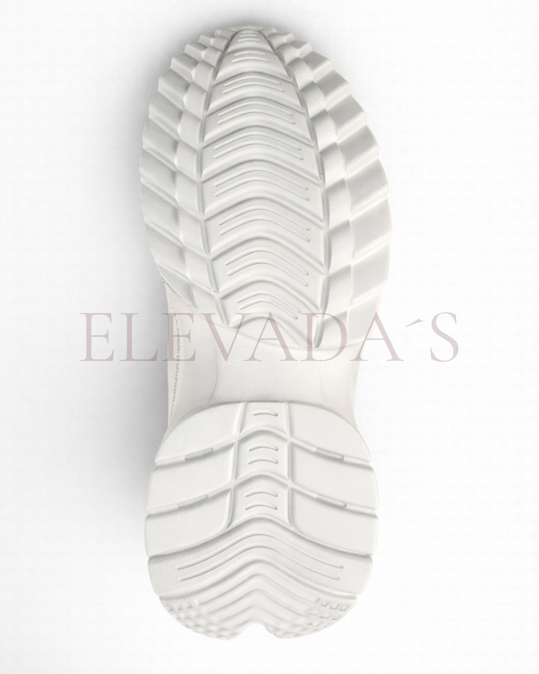 LILY-5005
