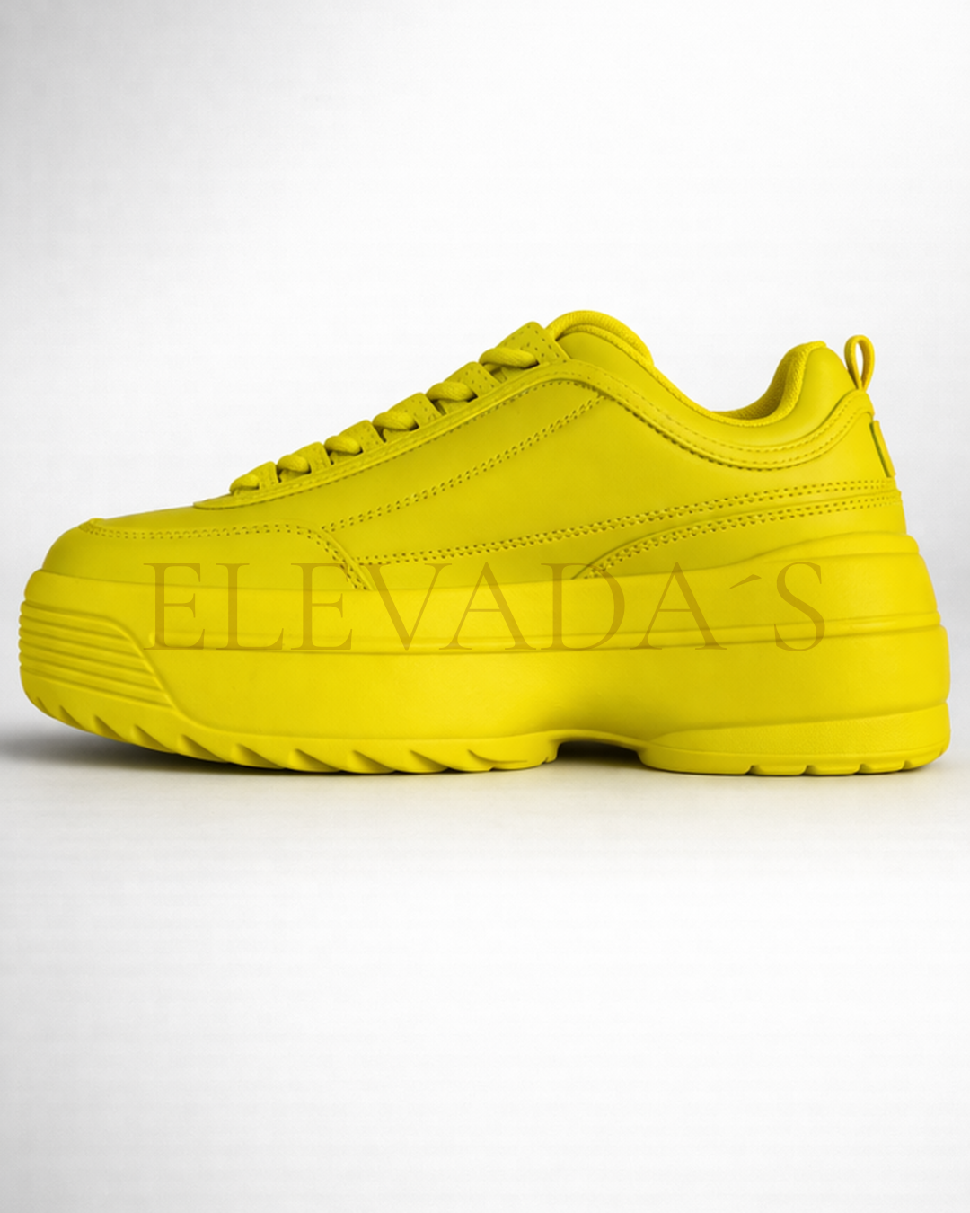 LILY-5005