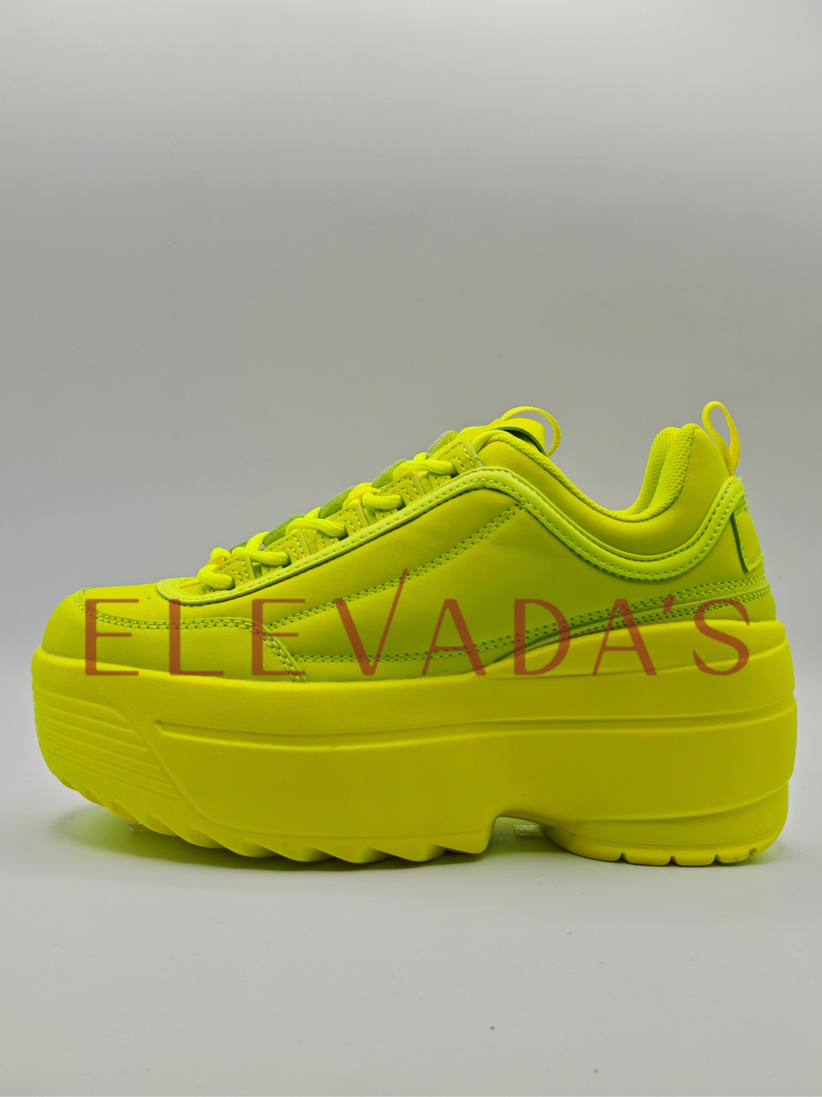 LILY-5005
