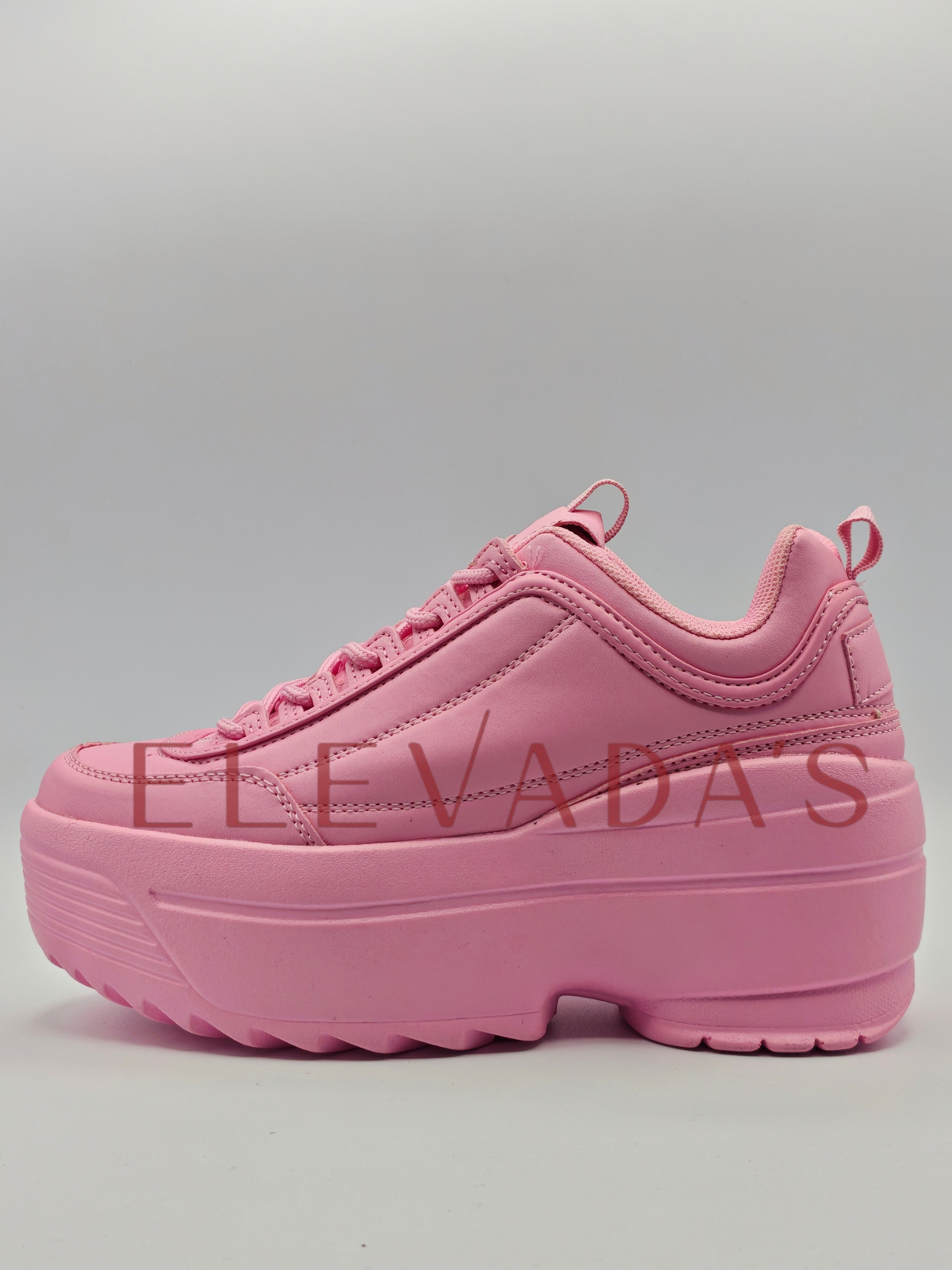 LILY-5005