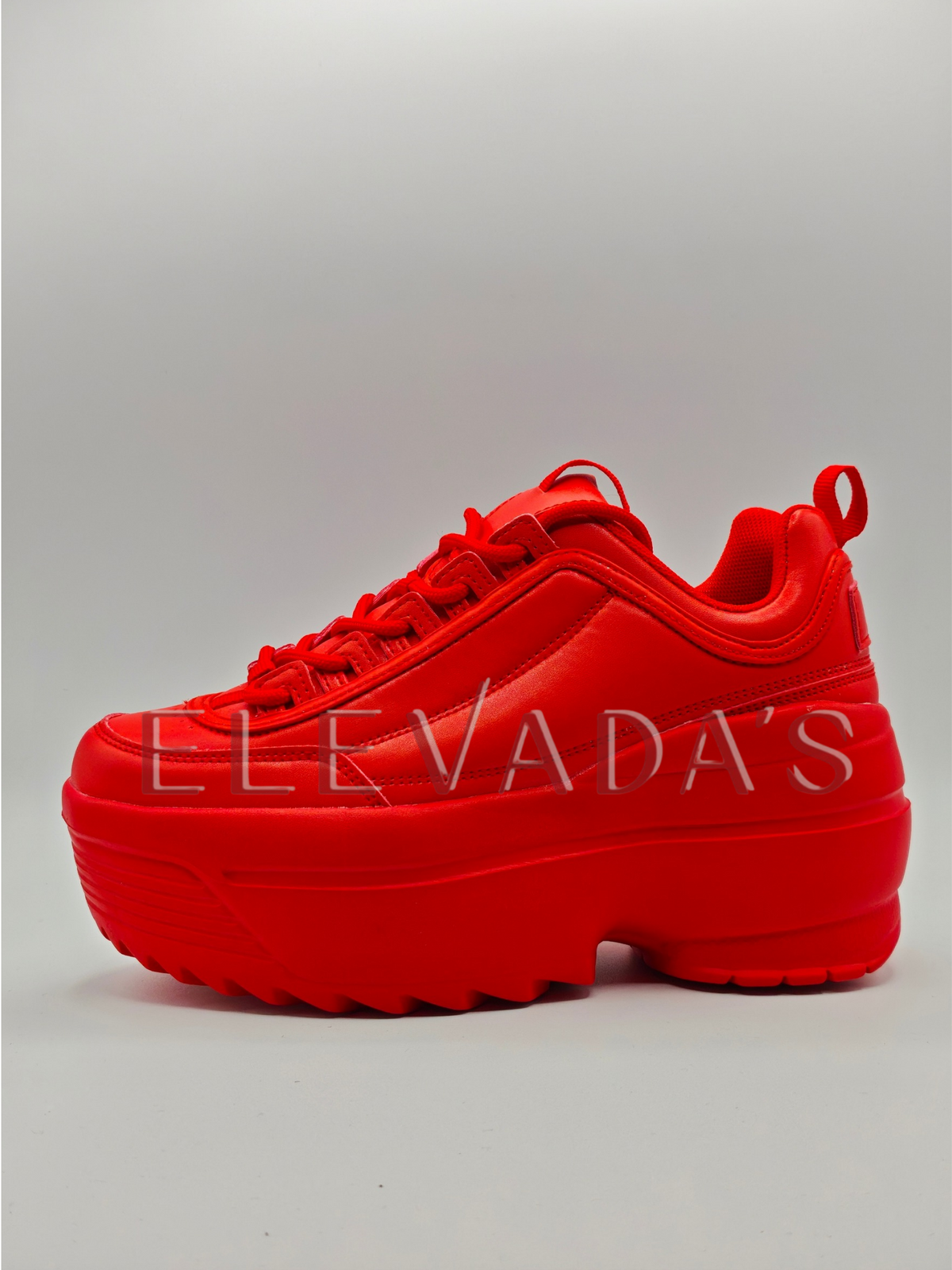 LILY-5005